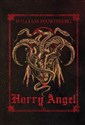 Harry Angel Canada Bookstore