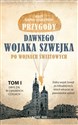 Przygody dawnego wojaka Szwejka po wojnach światowych. Tom 1   