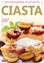 Ciasta Encyklopedia kulinarna  