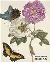 Maria Sibylla Merian polish books in canada