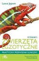 Zwierzęta egzotyczne Praktyczny przewodnik kliniczny - L. Jepson pl online bookstore