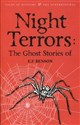 Night Terrors Ghost Stories of polish usa