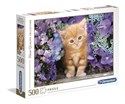 Puzzle Ginger cat 500 -  bookstore