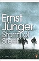 Storm of Steel (Penguin Modern Classics) Bookshop
