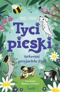 Sekretni przyjaciele Zuzi Tycipieski Tom 1 Polish bookstore