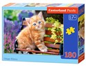 Puzzle Ginger Kitten 180 polish books in canada