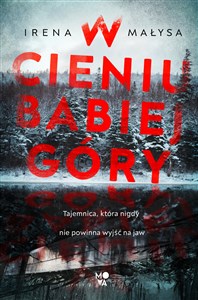 W cieniu Babiej Góry  buy polish books in Usa