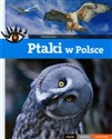 Ptaki w Polsce Piękne ciekawe wyjątkowe online polish bookstore