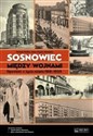 Sosnowiec między wojnami Opowieść o życiu miasta 1918-1939 - Tomasz Kostro, Anna Urgacz-Szczęsna