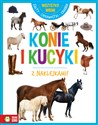 Konie i kucyki. Wszystko wiem   