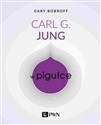 Carl G. Jung w pigułce polish books in canada