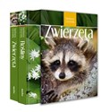 Rośliny i zwierzęta. Spotkania z przyrodą - Opracowanie Zbiorowe buy polish books in Usa