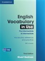 English Vocabulary in Use Pre-intermediate and Intermediate Vocabulary reference and practice polish usa