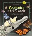 Gąsienice w czekoladzie I inne tajemnice motyli - Krzysztof Pabis