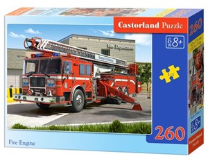 Puzzle Fire Engine 260 polish books in canada