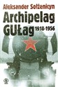 Archipelag GUŁag 1918-1956 Próba dochodzenia literackiego polish usa