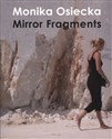 Mirror Fragments  