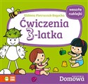 Ćwiczenia 3-latka Domowa Akademia  