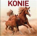 Konie polish books in canada