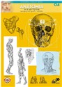 Anatomia dla artystów 04 Leonardo Compact Series - 