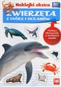 Zwierzęta z mórz i oceanów online polish bookstore