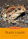 Płazy i gady. Fauna Polski - Krzysztof Klimaszewski