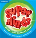 Super Minds Starter-Level 2 Posters (15)   