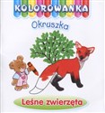 Leśne zwierzęta. Kolorowanka Okruszka  