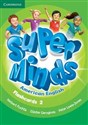 Super Minds American English Level 2 Flashcards (Pack of 103) in polish