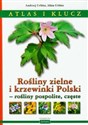 Rośliny zielne i krzewinki Polski rośliny pospolite, częste Atlas i klucz  