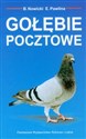 Gołębie pocztowe chicago polish bookstore