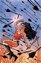 Absolute Wonder Woman by Brian Azzarello and Cliff Chiang 