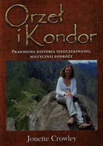 Orzeł i Kondor buy polish books in Usa