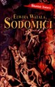 Sodomici books in polish