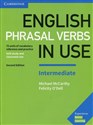 English Phrasal Verbs in Use Intermediate Self-stury and classroom use pl online bookstore