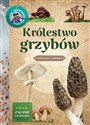 Królestwo grzybów - Hanna Będkowska