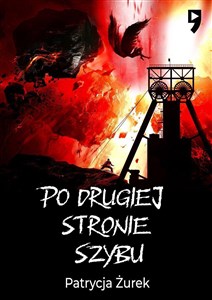 Po drugiej stronie szybu  polish books in canada