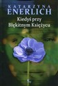 Kiedyś przy Błękitnym Księżycu polish books in canada