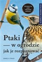 Ptaki w ogrodzie Jak je rozpoznawać  