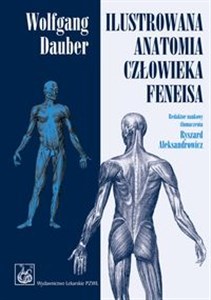 Ilustrowana anatomia człowieka Feneisa polish usa