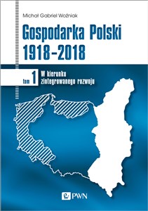 Gospodarka Polski 1918-2018 W kierunku zintegrowanego rozwoju. Tom 1 polish usa