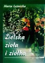 Zielska zioła ziółka to buy in USA