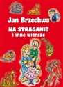 Na straganie i inne wiersze Polish bookstore