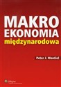 Makroekonomia międzynarodowa buy polish books in Usa