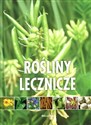 Rośliny lecznicze - Opracowanie Zbiorowe 