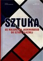 Sztuka Od malarstwa jaskiniowego do sztuki ulicznej pl online bookstore