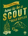 Do Your Best How to Be a Scout  chicago polish bookstore