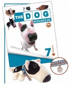 English Bull Terrier  buy polish books in Usa