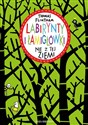 Labirynty i łamigłówki nie z tej ziemi - Thomas Flintham