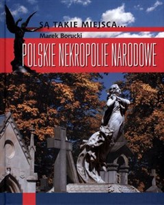 Polskie nekropolie narodowe polish books in canada